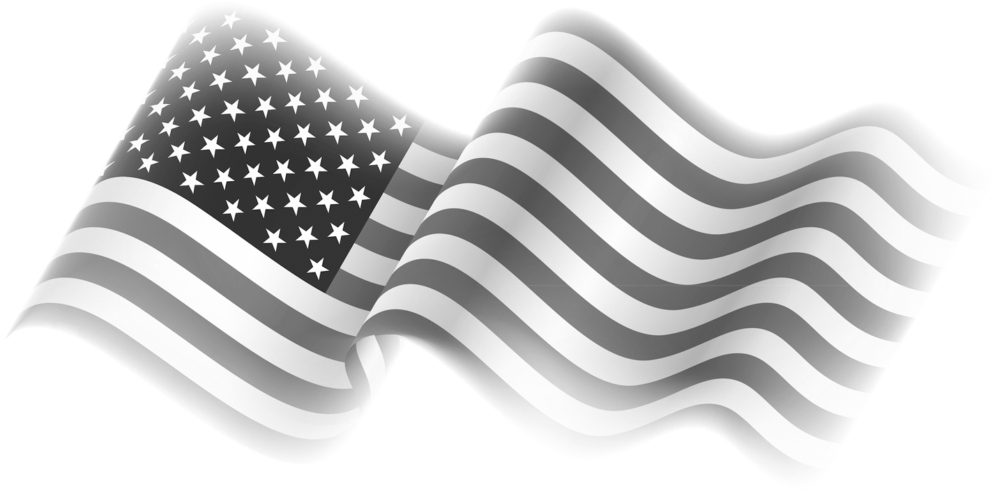 Nevada Paint Horse Club flag